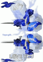 Blue Butterfly White Roses