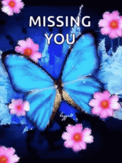 Blue Butterfly With Pink Flowers Missing You GIF