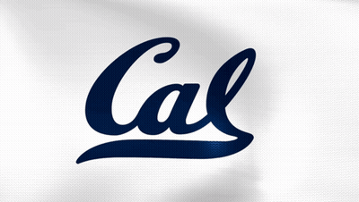 Blue CAL Logo On White Background GIF