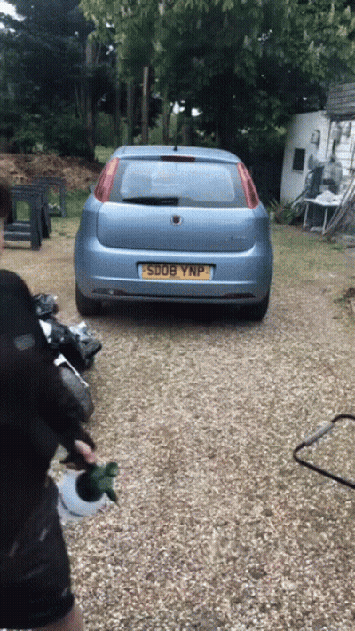 Blue Car With License Plate S908 YNP GIF