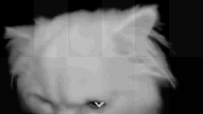 Blue Car With Squirrel On Hood In Park GIF