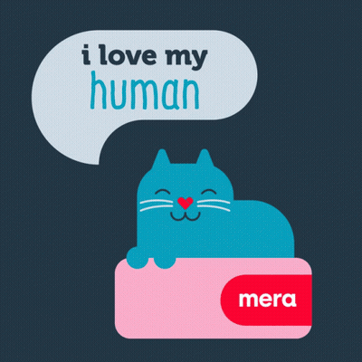 Blue Cat Lying On Pink Box Saying I Love My Human GIF