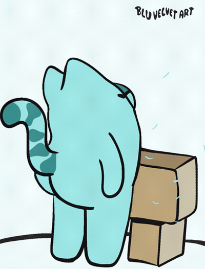 Blue Cat Next To Cardboard Boxes GIF