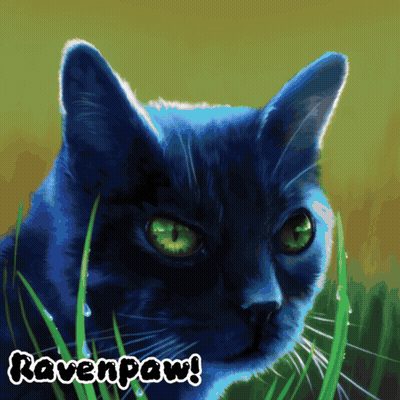 Blue Cat With Green Eyes Named Ravenpaw GIF