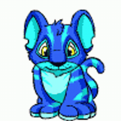 Blue Cat With Yellow Eyes Sitting GIF