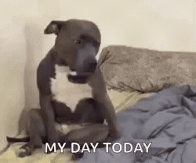 Blue Circle With White Bird GIF