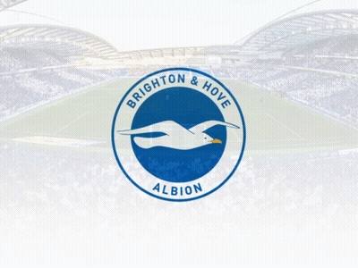 Blue Circle With White Bird GIF