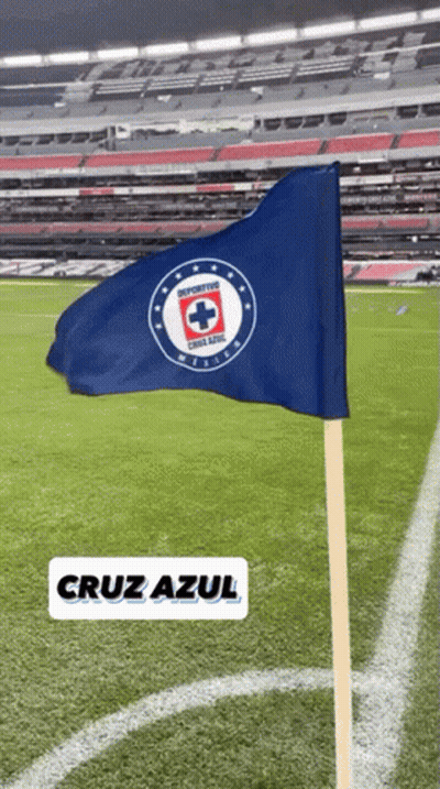Blue Cross Flag On Soccer Field GIF