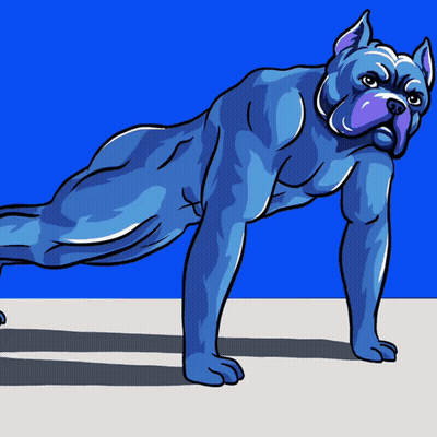 Blue Dog Doing Push Up GIF
