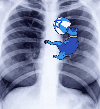 Blue Dog Holding Letter T Ball In Chest X-Ray GIF