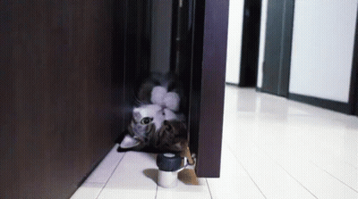 Blue Dress Doll Beside Book Pile GIF