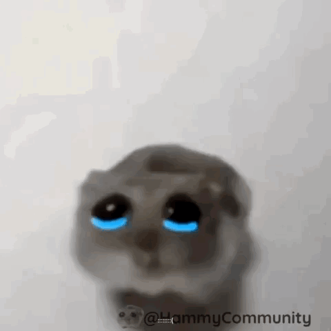 Blue-Eyed Crying Cat GIF
