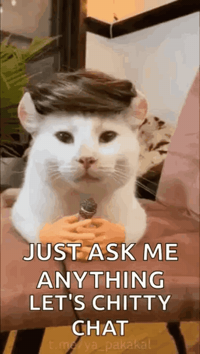 Blue-Eyed Girl Reading Ao No Exorcist Book GIF