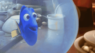 Blue Fish Looking Out Of Water Bubble GIF