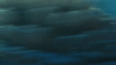 Blue Fish With Big Eyes Swimming Near Coral Reef GIF
