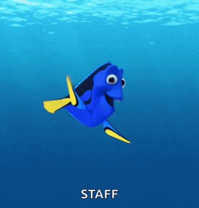 Blue Fish With Yellow Flippers GIF
