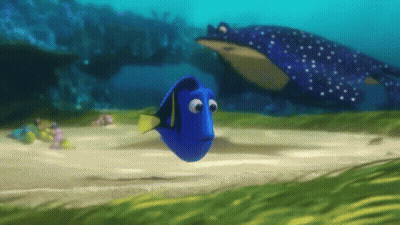 Blue Fish With Yellow Tail GIF