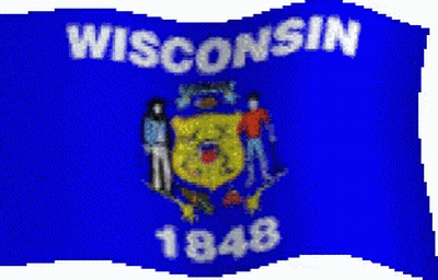 Blue Flag Saying Wisconsin GIF