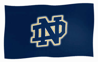 Blue Flag With Glowing ND Logo GIF