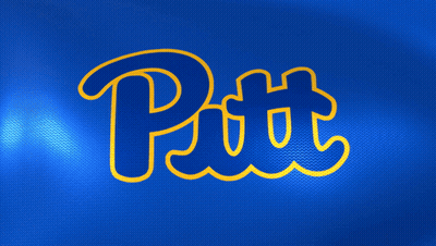 Blue Flag With Gold Pitt GIF