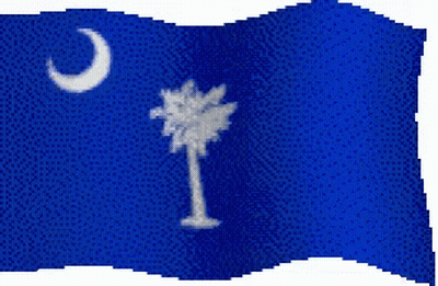 Blue Flag With Palm Tree And Crescent Moon GIF