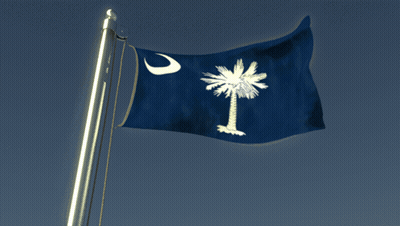 Blue Flag With Palm Tree And Crescent Moon GIF
