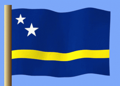 Blue Flag With Two White Stars GIF