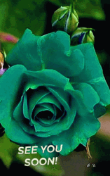 Blue Flower See You Soon GIF