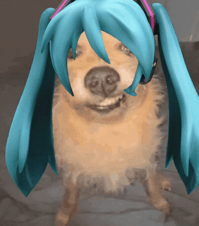 Blue-Haired Dog With Headphones Looking At Camera GIF