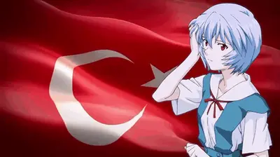 Turkey GIFs