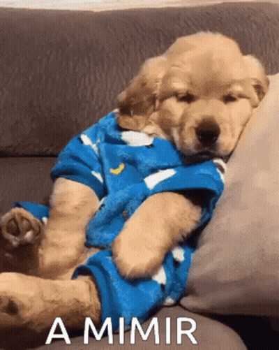 Blue Hat Bear Saying So You're In A Bad Mood GIF