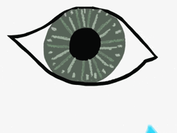 Blue Heart To Blue Bird GIF