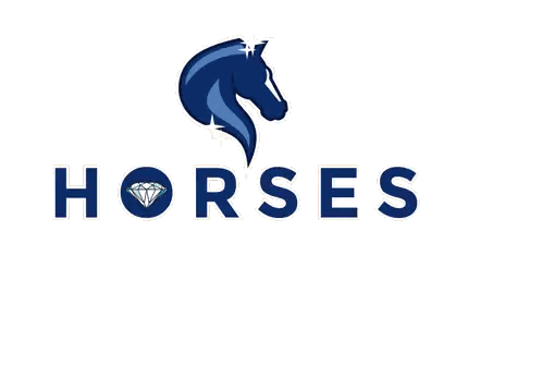 Blue Horse Head Logo Sticker