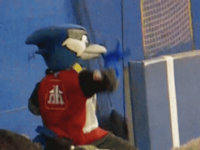 Blue Jay Mascot In Red And White Shirt With Letter H GIF