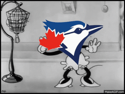 Blue Jay With Red Maple Leaf on Head