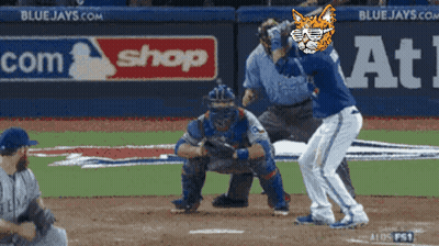 Blue Jays Baseball Game GIF
