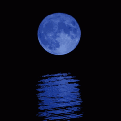 Blue Moon Sea Breeze GIF
