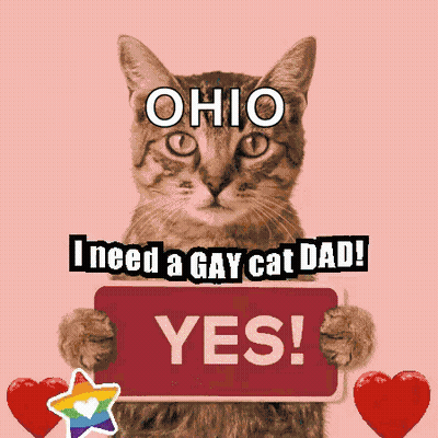 Blue Mug With Bird Saying Ohio GIF