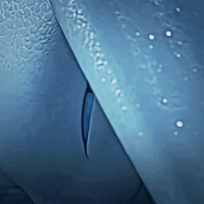 Blue Object With Hole GIF