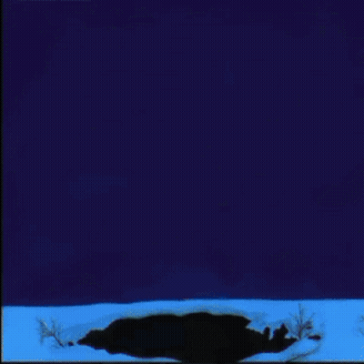 Blue Owl On Rush Album Cover GIF