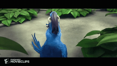 Blue Parrot From Rio Standing In Front Of Green Leaves GIF