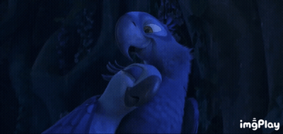 Blue Parrot In Dark Room With Imgplay GIF