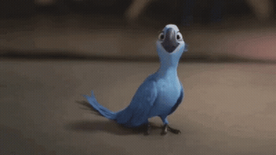 Blue Parrot Saying For Me GIF