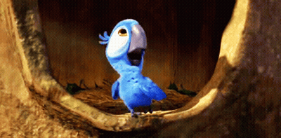 Loro azul sentado en hueco de árbol GIF