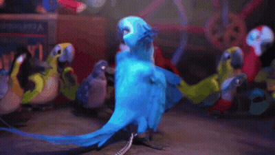 Blue Parrot Standing In Front Of Group GIF