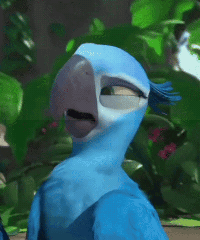 Blue Parrot Standing In Jungle Looking At Camera GIF