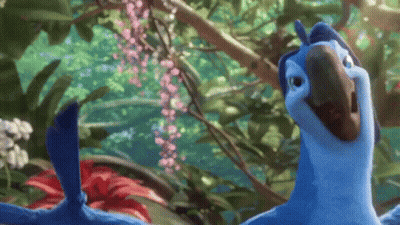 Blue Parrot Standing In Jungle With Pink Flowers GIF