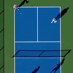 Blue Pickleball Court Meme GIF