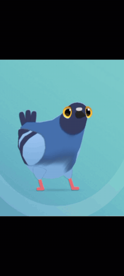 Blue Pigeon With Big Yellow Eyes Walking GIF