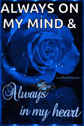 Blue Rose Always In My Heart GIF